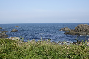 海岸の風景