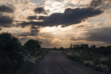 Campagne uruguayenne