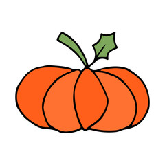 Orange pumpkin with green leaf