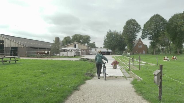Young Woman Walking With Bike Past Cows on an Organic Dairy Farm