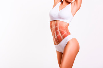 Woman's abs muscle and body structure. Female slender body in underwear. - obrazy, fototapety, plakaty