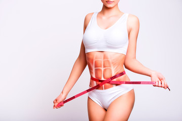 Woman's abs muscle and body structure. Slim female body frontal view isolated on neutral background.