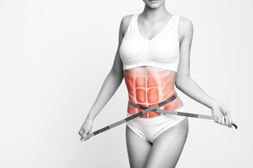 Woman's abs muscle and body structure. Slim female body frontal view isolated on neutral background.