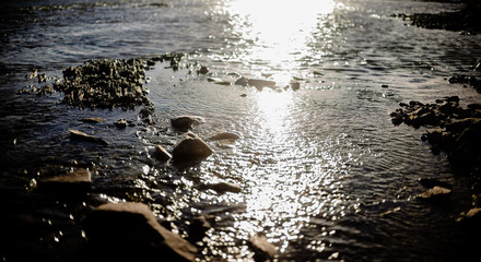 Quiet river water in the evening light  background