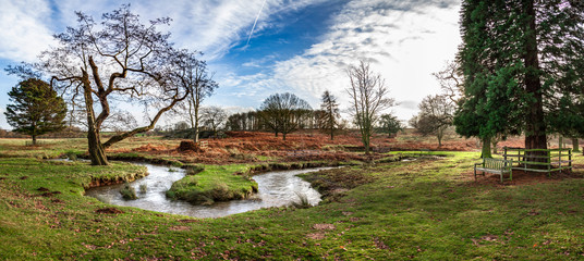 A panoramic photograph of an English autumn park with a few trees, a winding river and a wooden bench