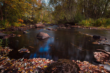 Creekside autumn