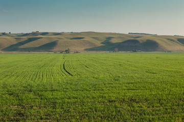 Landscape. Field on a background of hills