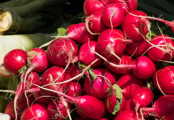 Bund Radieschen am Markt