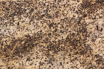Empty sheet of recycle paper. Handmade paper background. Old paper. Recycling texture.