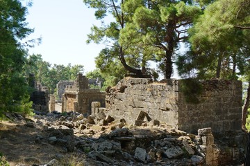 Naklejka na ściany i meble Seleukeia - ancient city in the mountains