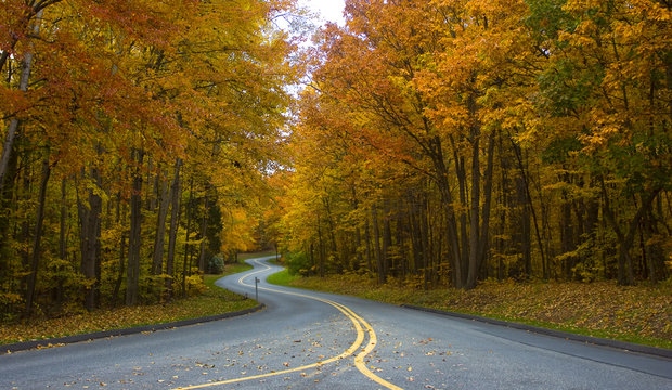 Scenic road in Black Hill National Park during fall