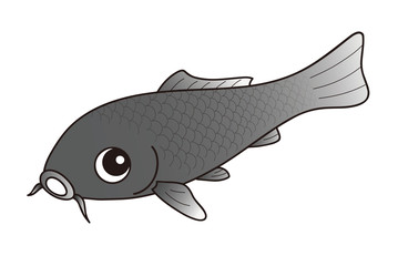 鯉 ニシキゴイ 黒色