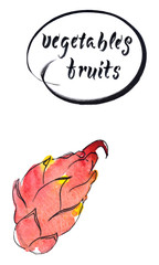 Fresh raw dragon fruit, watercolor hand drawn illustration