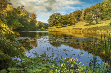 Autumn in the English Park - beautiful colors