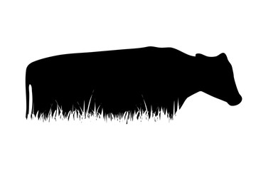 Vector silhouette of cow in the grass on white background.