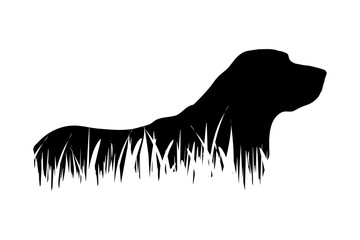 Vector silhouette of dog in the grass on white background.