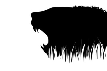 Vector silhouette of lion in the grass on white background.