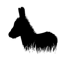Vector silhouette of donkey in the grass on white background.