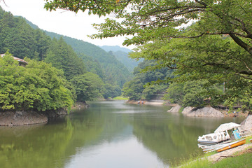 初夏の鎌北湖　埼玉
