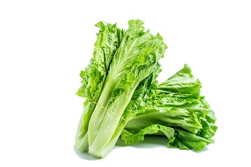 a lettuce on a white background