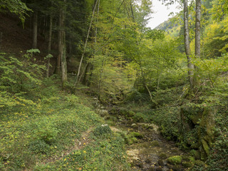 Fototapeta na wymiar Reigoldswil en Suisse au fond de la vallée de Frenke. Le sentier au bord de la cascade.