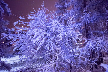 snowy streets of the Alpine mountain village