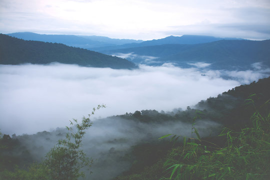 Mountains landscape with fog in the morning, Tropical forest image