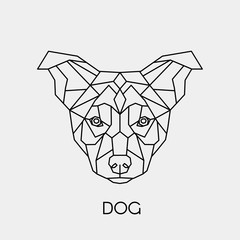 Geometric dog. Polygonal linear animal head. Vector illustration.