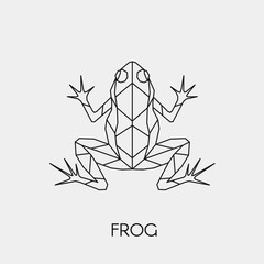 Geometric frog. Polygonal linear abstract animal. Vector illustration