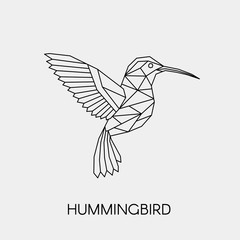 Geometric hummingbird. Polygonal linear abstract tropical bird. Vector illustration