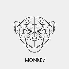 Geometric monkey. Polygonal linear animal head. Vector illustration.