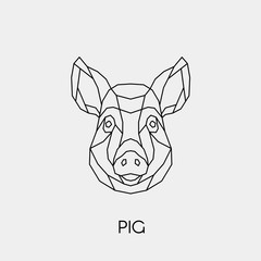 Geometric pig. Polygonal linear animal head. Vector illustration.