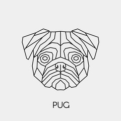 Geometric dog breed pug. Polygonal linear animal head. Vector illustration.