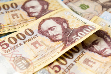 Hungarian money - 5000 forint (HUF)