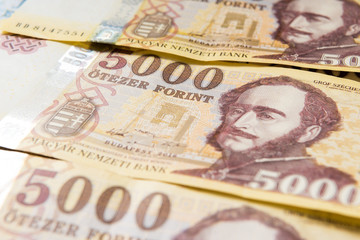 Hungarian money - 5000 forint (HUF)