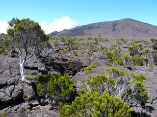 Obraz premium au volcan du Piton de la Fournaise