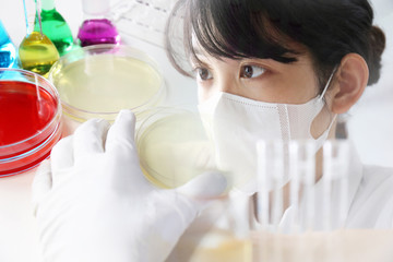 実験する研究者　微生物検査