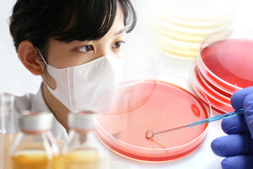 実験する研究者　微生物検査