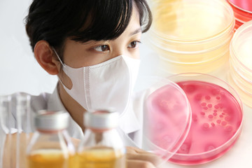 実験する研究者　微生物検査
