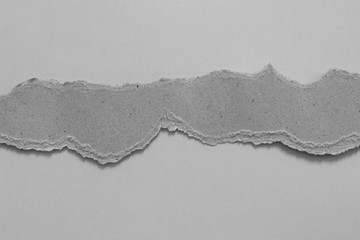 pieces of torn paper texture background, copy space.