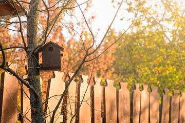 A wooden bird hause, in the autumn warm sunshine.