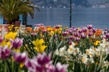 Klagenfurt Seepromenade Und Schiffsanlegestelle 