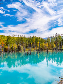 チンダル現象 Images – Browse 128 Stock Photos, Vectors, and Video | Adobe Stock