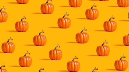 Autumn orange pumpkins on an orange background