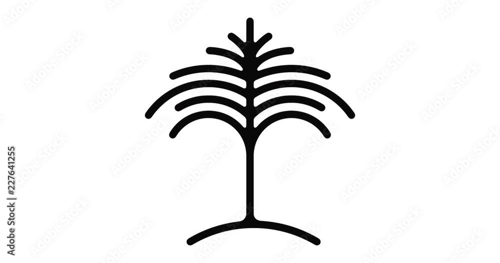 Poster palm tree line icon motion graphic animation with alpha channel.