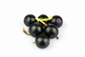 Berries of blackberry are isolated on a white background.