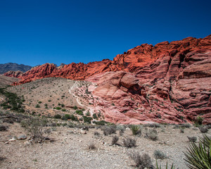 Red Rock Canyon Landscape