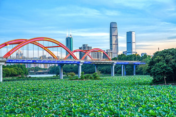 Shenzhen Honghu Park / Shenzhen Rainbow Bridge in summer