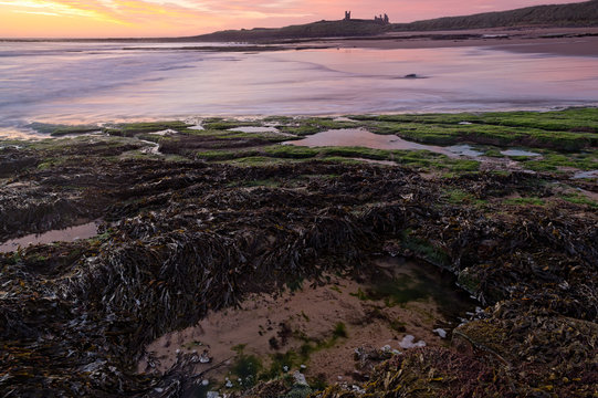 Sunrise Over Dunstanburgh Castle On The Coast Of Northumberland, England, UK.