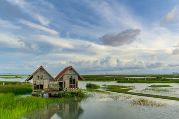 Obraz premium Abandoned house over lake Thale Noi at Phatthalung, Thailand. 